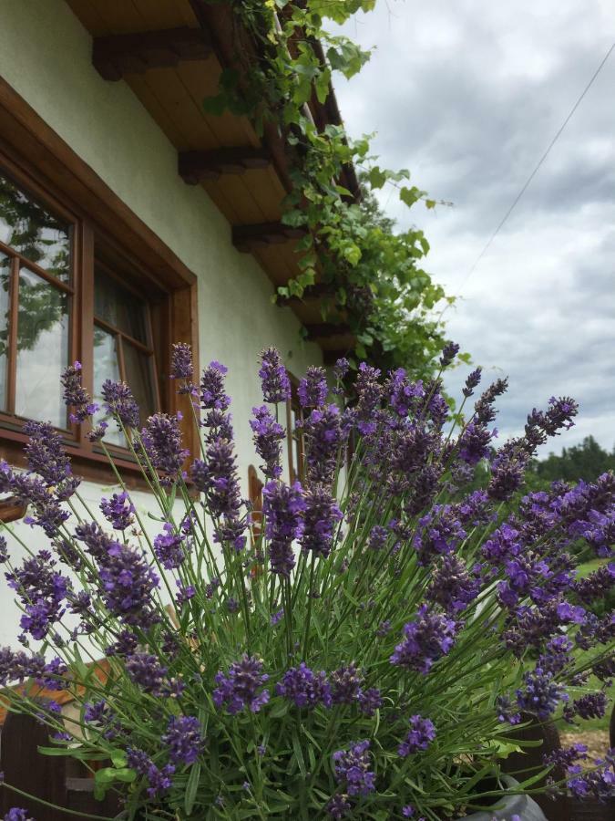 Dom Rodziny Sojkow Bed & Breakfast Bialka Tatrzanska Dış mekan fotoğraf