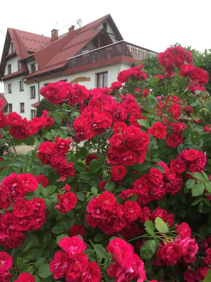 Dom Rodziny Sojkow Bed & Breakfast Bialka Tatrzanska Dış mekan fotoğraf