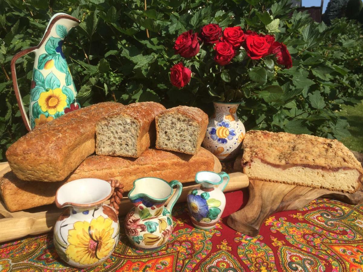 Dom Rodziny Sojkow Bed & Breakfast Bialka Tatrzanska Dış mekan fotoğraf