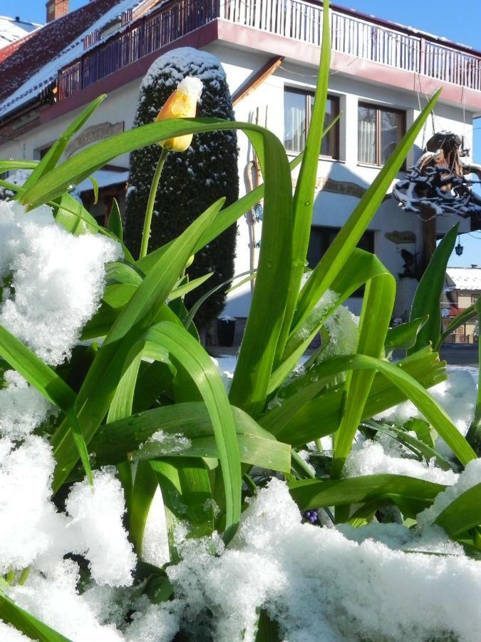 Dom Rodziny Sojkow Bed & Breakfast Bialka Tatrzanska Dış mekan fotoğraf