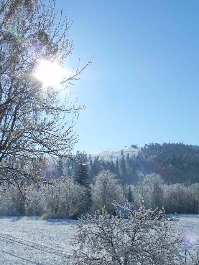 Dom Rodziny Sojkow Bed & Breakfast Bialka Tatrzanska Dış mekan fotoğraf